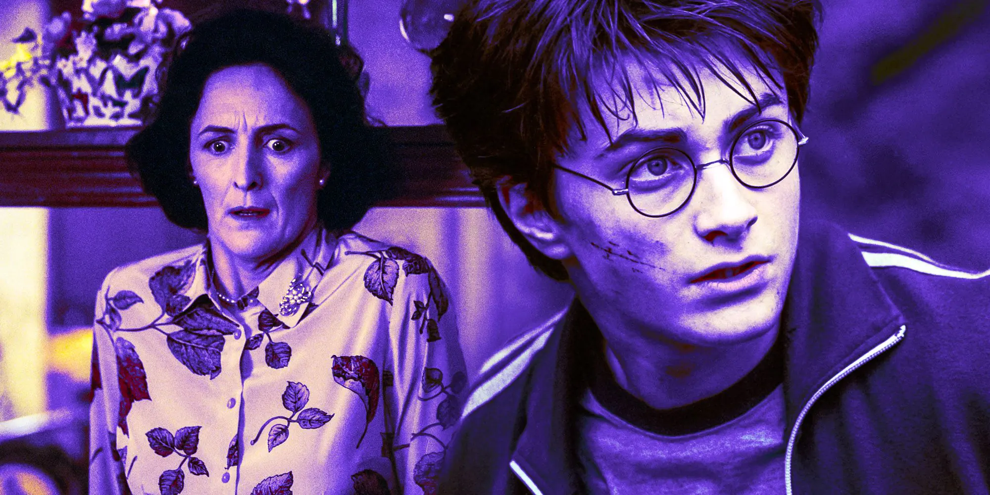 Harry potter and Petunia Dursley