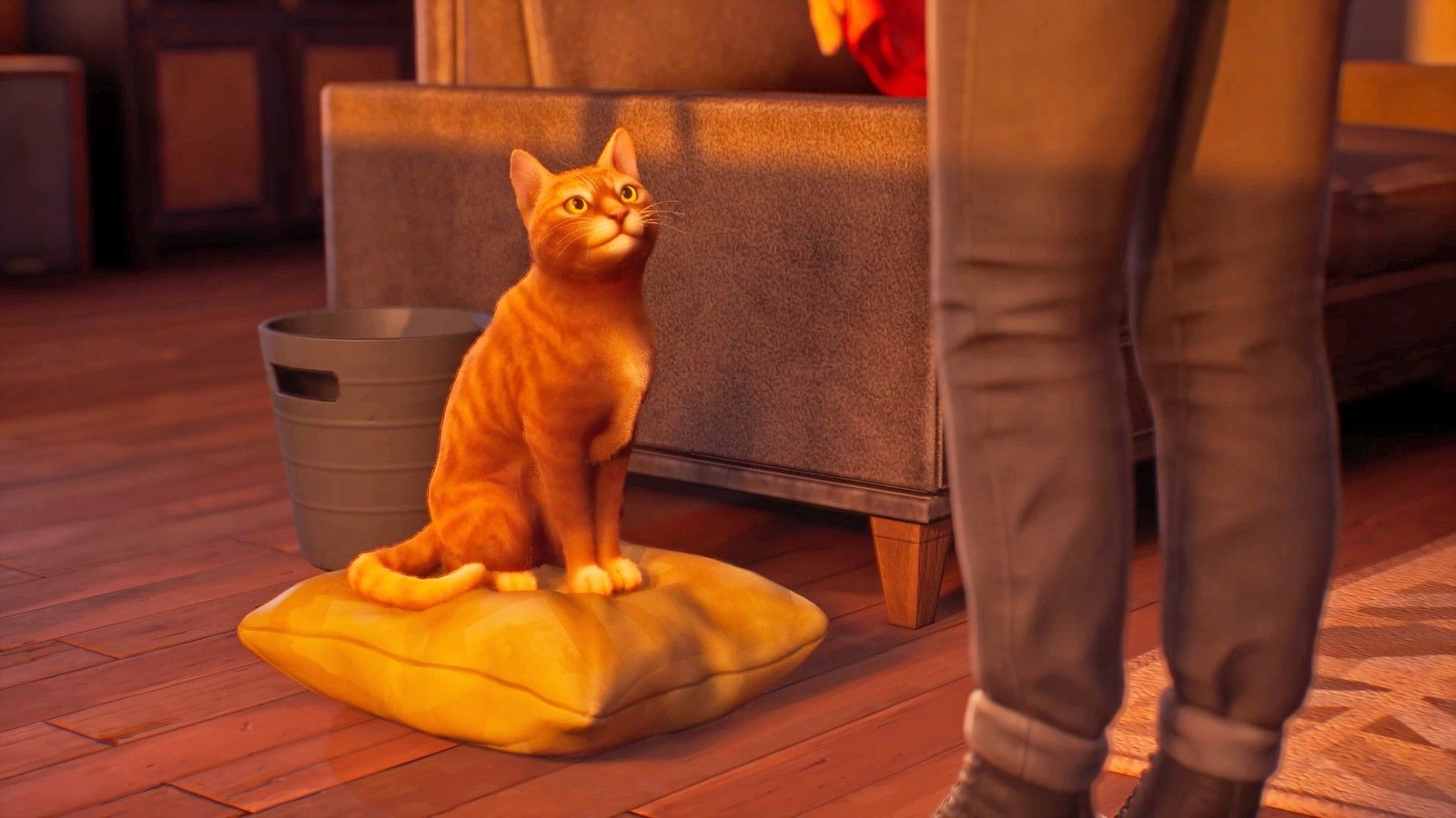 Double Exposure orange tabby cat sitting on a pillow looking up.