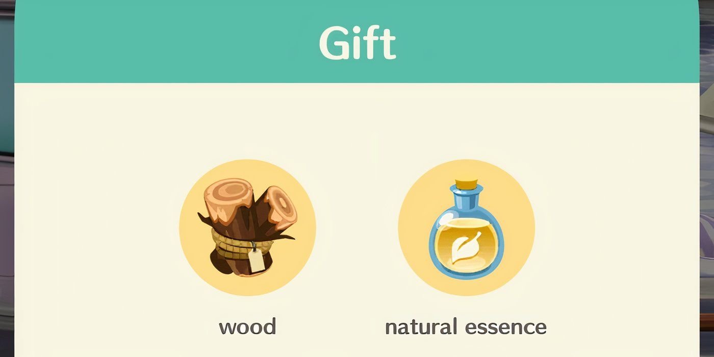 Animal Crossing Pocket Camp Complete Gift.